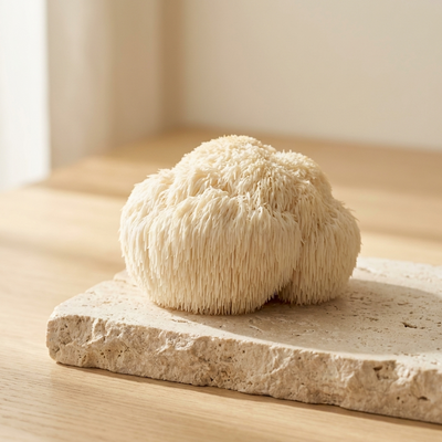 Lion's Mane